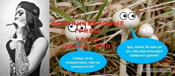 спайс Киренск