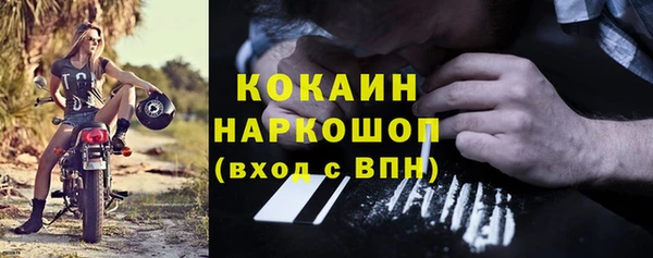мдпв Козельск