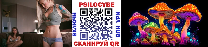 Купить закладки  Елабуга  Псилоцибиновые грибы MAGIC MUSHROOMS 
